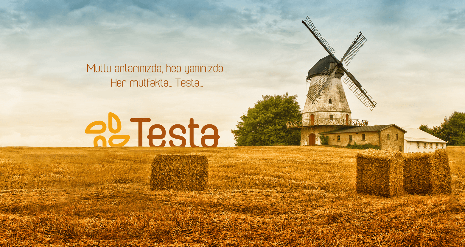 Testa